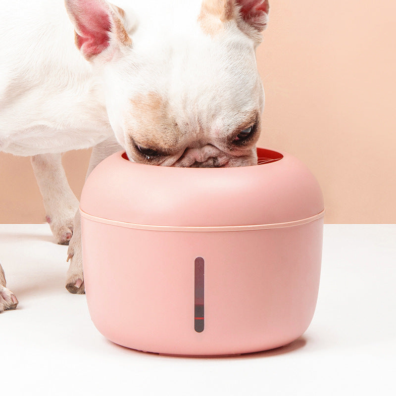 Dispensador de agua para mascotas