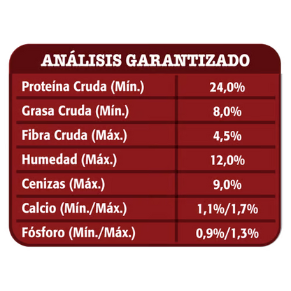 Gatsy Sabores Caseros Carne - Adultos 17kg