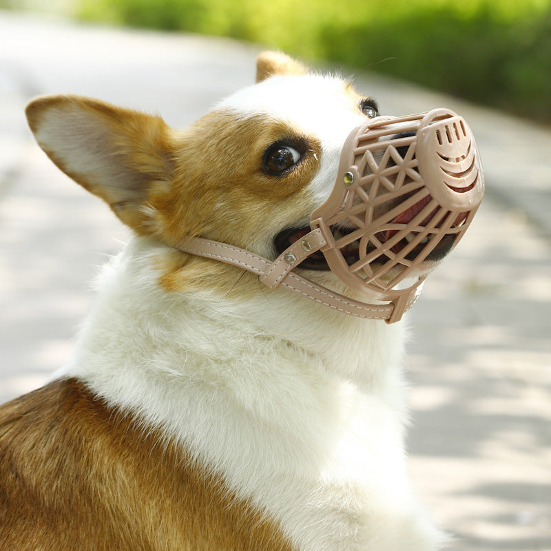 Bozal para mascotas